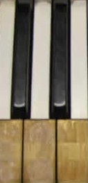 Come riconoscere la tastiera in avorio del pianoforte (1/2)